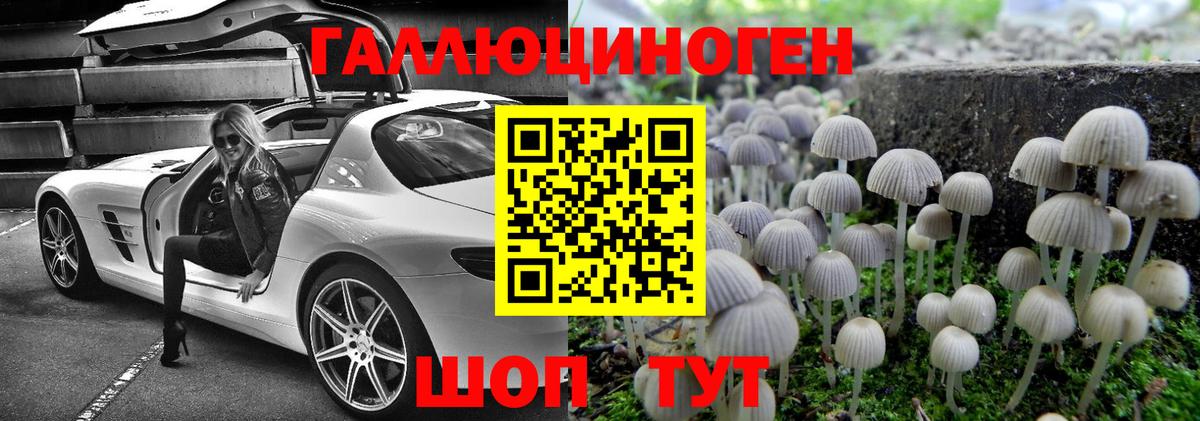 Псилоцибиновые грибы Magic Shrooms  Вход с VPN  Заволжье 